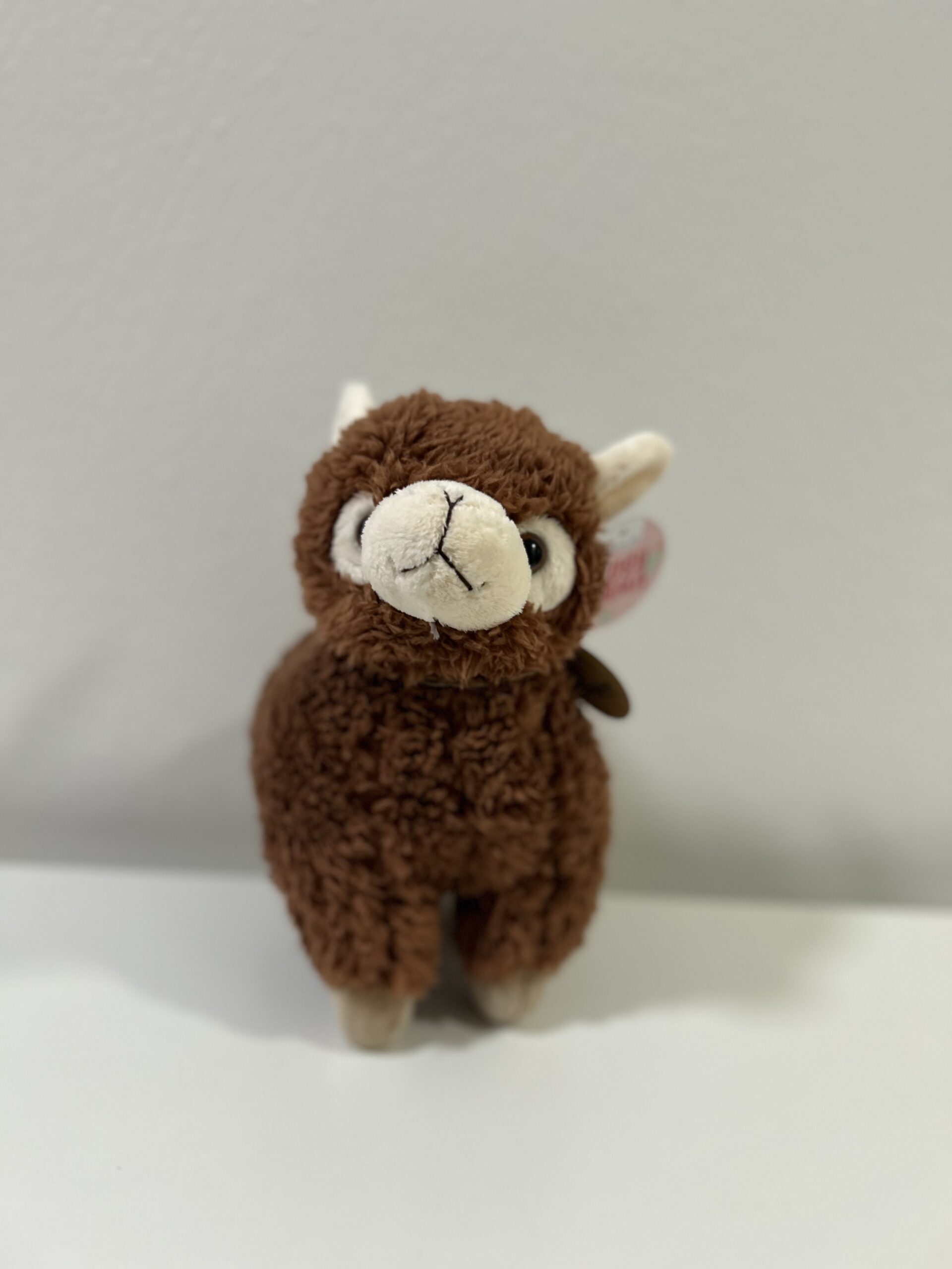 Plüsch Lama ca. 22 cm – Bild 6