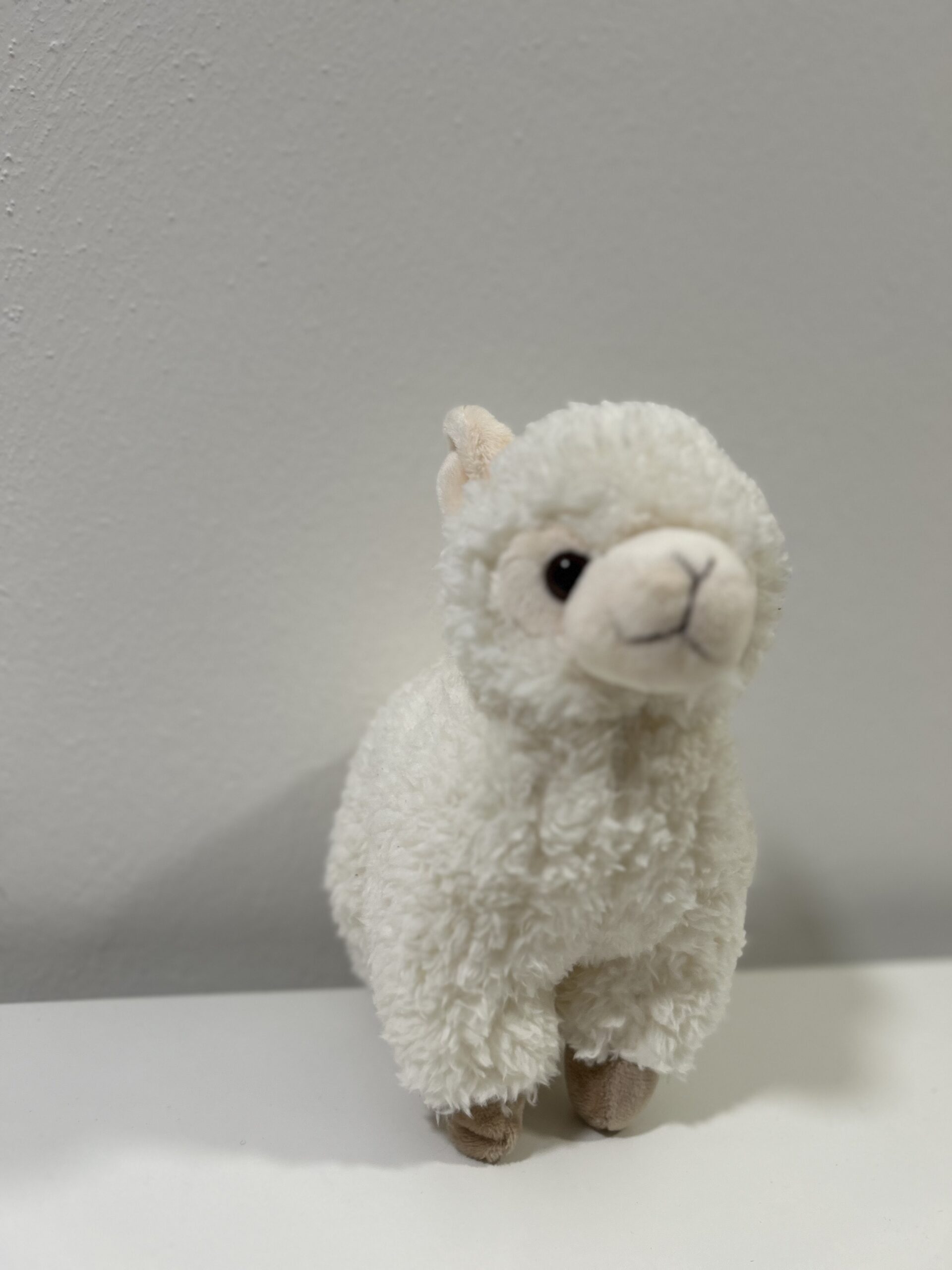 Plüsch Lama ca. 22 cm